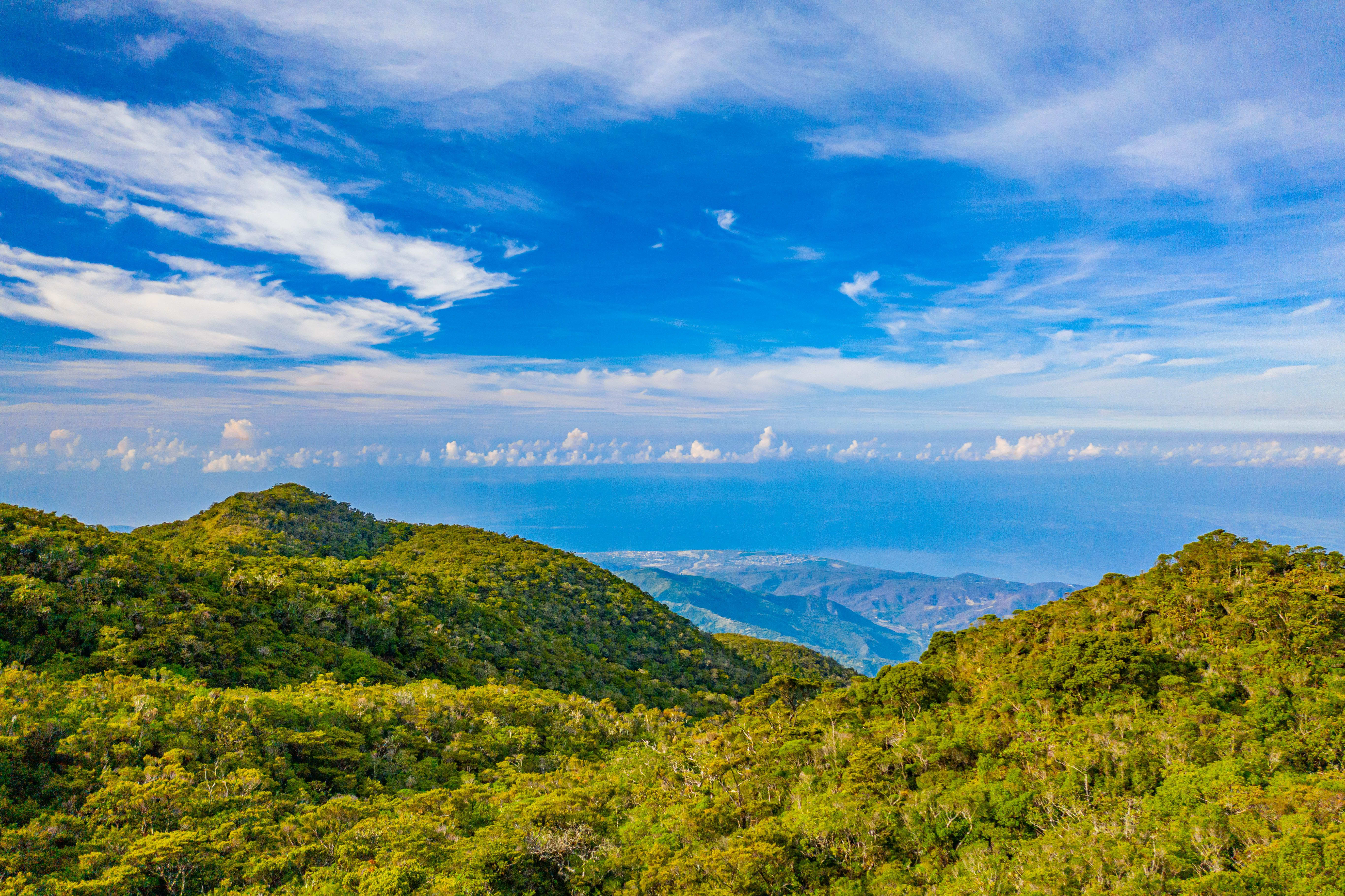 Jamaica's Blue Mountains